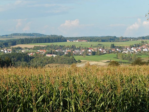 rural corn sunny fields picturesque idyllic