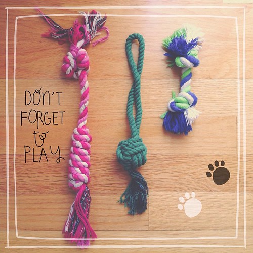 11. k is for... knots! #fmsphotoaday #littlemomentsapp