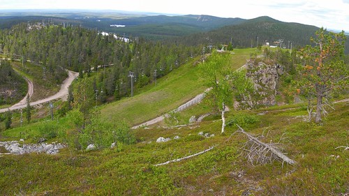 summer panorama forest finland landscape geotagged evening july kuusamo fin stitched ruka 2014 valtavaara konttainen koillismaa 201407 20140706 geo:lat=6616673677 geo:lon=2915076257