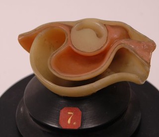 Model 7: Optic Cup with Mesoderm Inserted