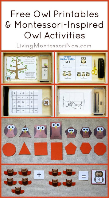 Free Owl Printables and Montessori-Inspired Owl Activities