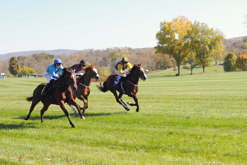 Fall Gold Cup 2014