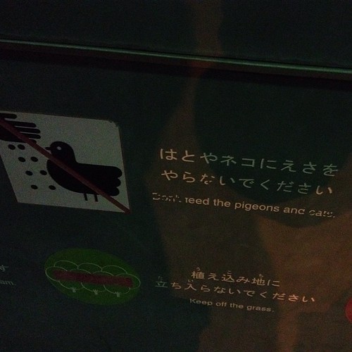 Don't feed the pigeons and cats in Ueno Park.