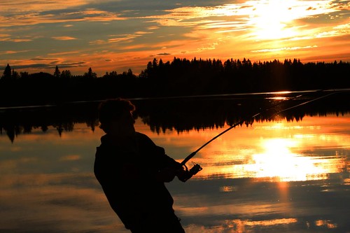 summer fish fishing sweden dusk luck