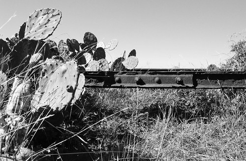 road county trestle bridge cactus abandoned train way texas pacific timber salt rail railway right row bayou missouri pear mound prickly stringer brazoria hoskins