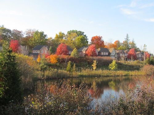 trees color fall leaves pond fallcolor seasonal oakville bronte fallcolour lakeshorewoods