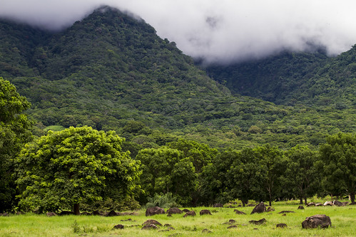 green nature beautiful landscape nicaragua centralamerica ometepe mistaluis