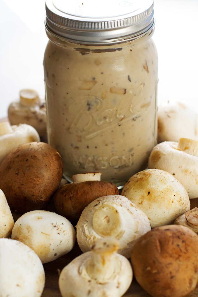 Condensed Cream Of Mushroom Soup Recipe Little Spice Jar,Bean Curd Family Style