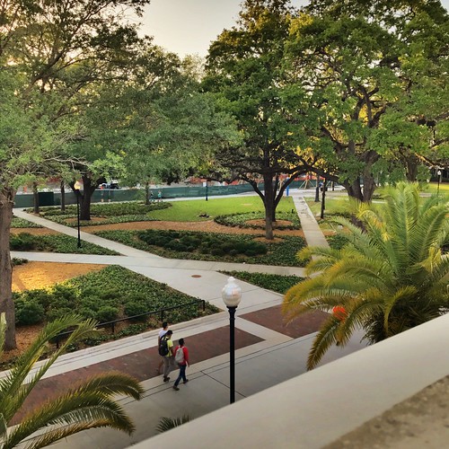 instagramapp square squareformat iphoneography uploaded:by=instagram uf university of florida campus plazaoftheamericas students hdr