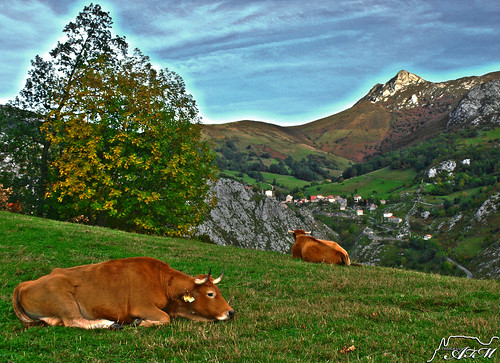 españa paisajes naturaleza mountain nature landscapes spain asturias montaña vacas sotres picosdeeuropa alfer520