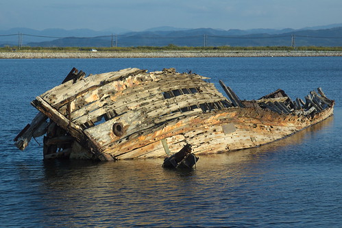 sunset japan ship scrap thrush bluerockthrush 廃墟 島根県 イソヒヨドリ 廃棄船