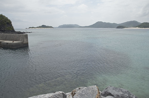 【写真】2014 離島めぐり : 座間味島２/2018-10-05/PICT6962