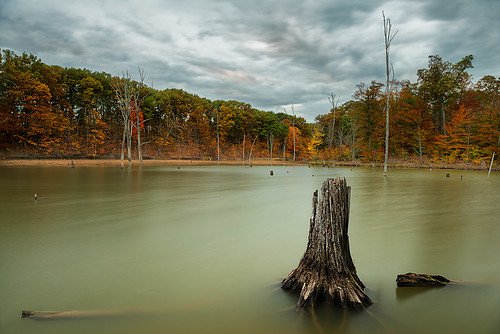 statepark longexposure autumn columbus ohio lake fall trunk oh alumcreek