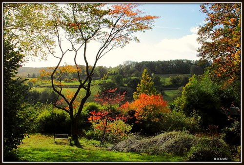 autumn trees shropshire severnvalley arley
