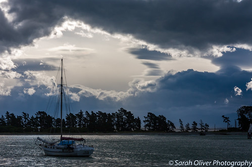abel bay boat cafe clouds ferry haulashore haven island marlborough moody national nelson new nz park quay shed ship sky south stepneyville storm tasman tug view wakefield yacht zealand canon 40d dramatic silhouette trees