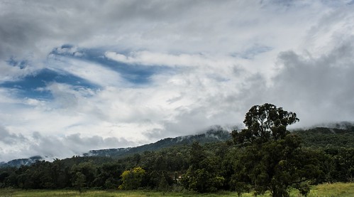 landscape autumn canungra albertvalley sequeensland queensland australia australianlandscape tamborinemountain mounttamborine australianmountains cloudscape poststorm sky clouds