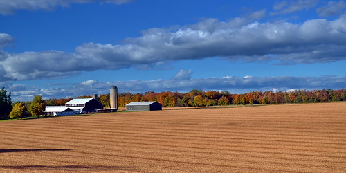 autumn ontario fall rural fields rurality