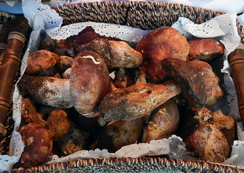 Mushrooms for sale in the gastro market of San Miguel in Madrid
