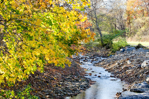 maryland autumn stream creek