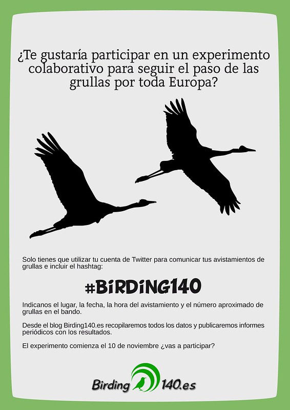 Cartel del Experiemento colaborativo #Birding140 - Cuando veas una grulla, tuitéalo
