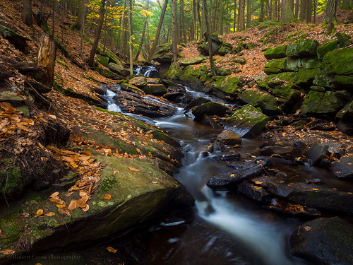 longexposure autumn trees fall leaves forest waterfall stream newengland newhampshire nh olympus omd chesterfieldgorge em5 1250mmf3563mzuiko