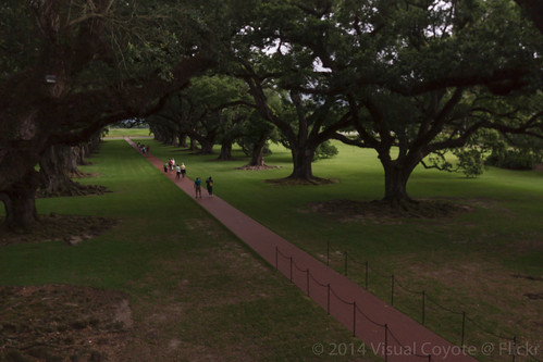 park usa tree alley louisiana historic antebellum 2014 oakalleyplantation usa2014 timezonect