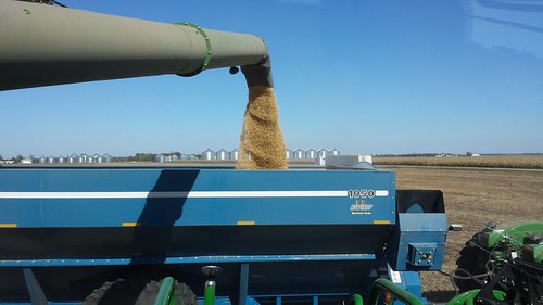fall southdakota farm combine soybeans 2014