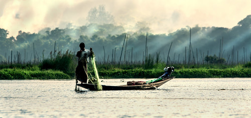 travel mist lake net misty fog sunrise see fisherman asia asien nebel burma traditional myanmar inle dust sonnenaufgang fischer netz inlay intha inwa inlesee