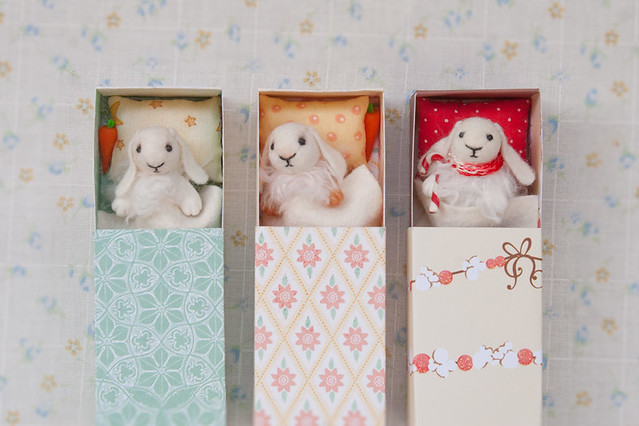 bunnies in a matchboxes