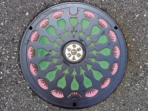 Toyama city Toyama pref, manhole cover （富山県富山市のマンホール）