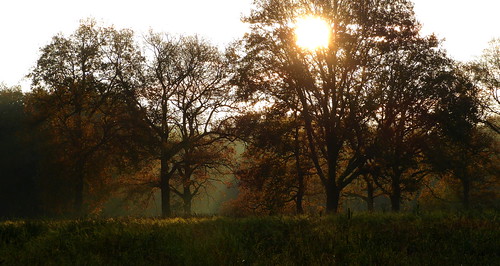november autumn holland fall netherlands sunrise herfst nederland achterhoek winterswijk gelderland zonsopkomst woold panasonicdmcfz150 1190025