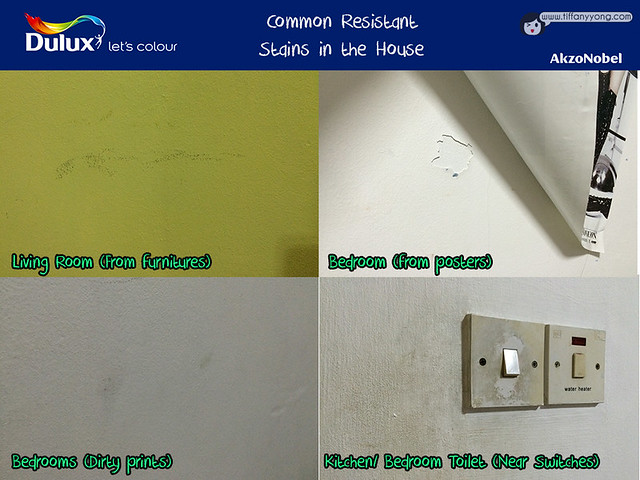 Dulux Common Stains