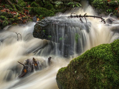 longexposure water wales forest woodland river waterfall moss woods stream cascade cleddon llandogo cledan