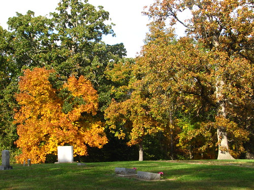 cemetery in autumn