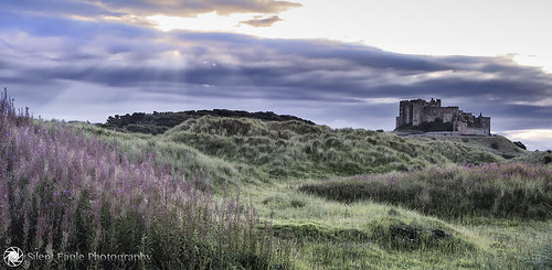 england plants sun green castle clouds canon landscape ray north east northumberland sep northeast bamburgh copyright© silenteaglephotography silenteagle09