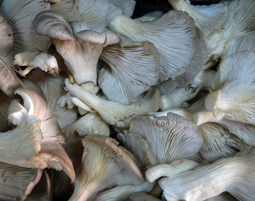 Mushrooms for sale in Santiago de Compostela
