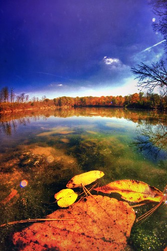 2014 fisheye jamiesmed iphoneedit app snapseed canon teamcanon eos rokinon t1i rebel mextures blue handyphoto sky fall skies lens wintonwoods trees tree prime geotagged geotag fixed creepycampout campout water manual focus wide angle landscape cincinnati