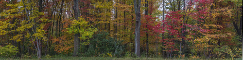 autumn connecticut enfield originalnef stitch tamron18270 johnjmurphyiii panorama foliage