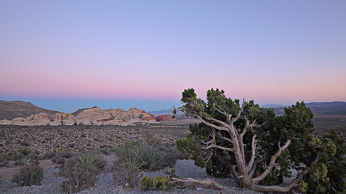 redrockcanyon sunset usa southwest america nationalpark nevada wideangle places hdr mojavedesert blm 2014 nearlasvegas canon5dmarkiii canon1635mmf4islens
