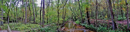 creek woods acres preserve bicentennial oldgrowth