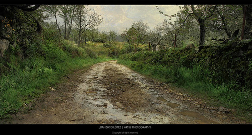 texture landscape spain paint paisaje olivos cáceres texturas extremadura encinas olivar sierradegata anosafala
