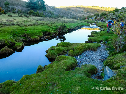 españa paisajes naturaleza guadalajara senderismo castillalamancha cantalojas sendtejeranegra
