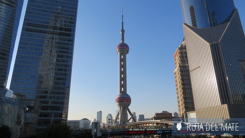 Shanghai China (14)