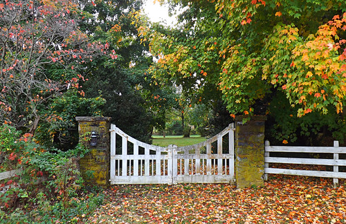autumn color fall landscape virginia us gate rainyday farm fallfoliage va autumncolor 2014 augustacounty