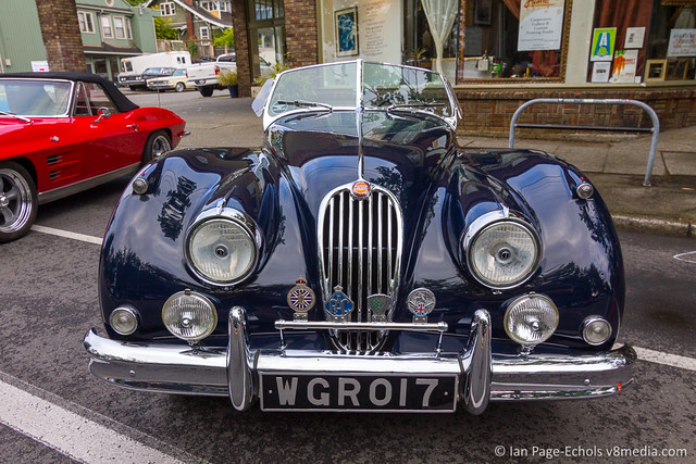 Blue Jaguar Front