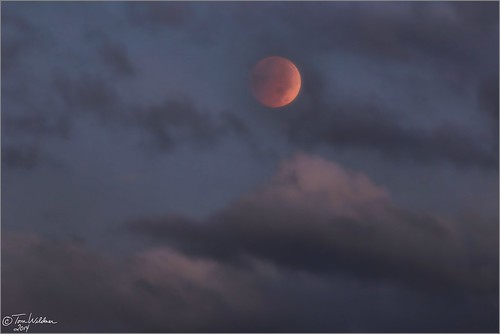 morning autumn moon fall night eclipse blood october pennsylvania fullmoon crater astrophotography astronomy total lunar moonset solarsystem astronomer 2014 weatherly carboncounty totaleclipse tomwildoner