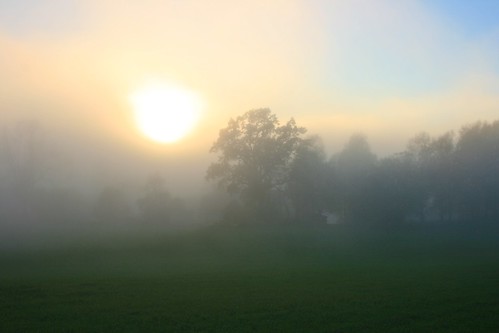 mist norway fog rural landscape norge europe scandinavia lier tåke dimma østlandet tranby buskerud