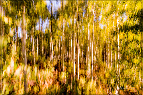 autumn motion blur fall utah unitedstates motionblur aspen provo