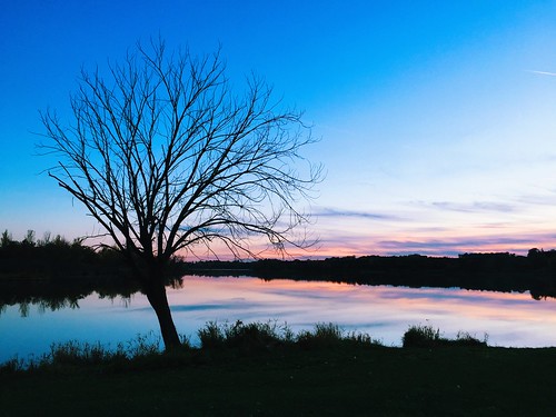 sunset lake tree nebraska iphone