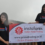 we love instaforex